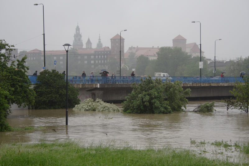 spis.php?category_id=432