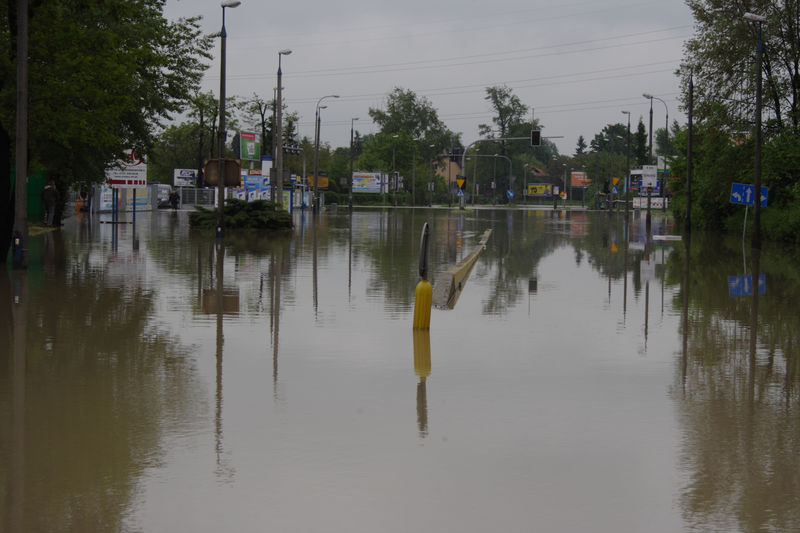 spis.php?category_id=432