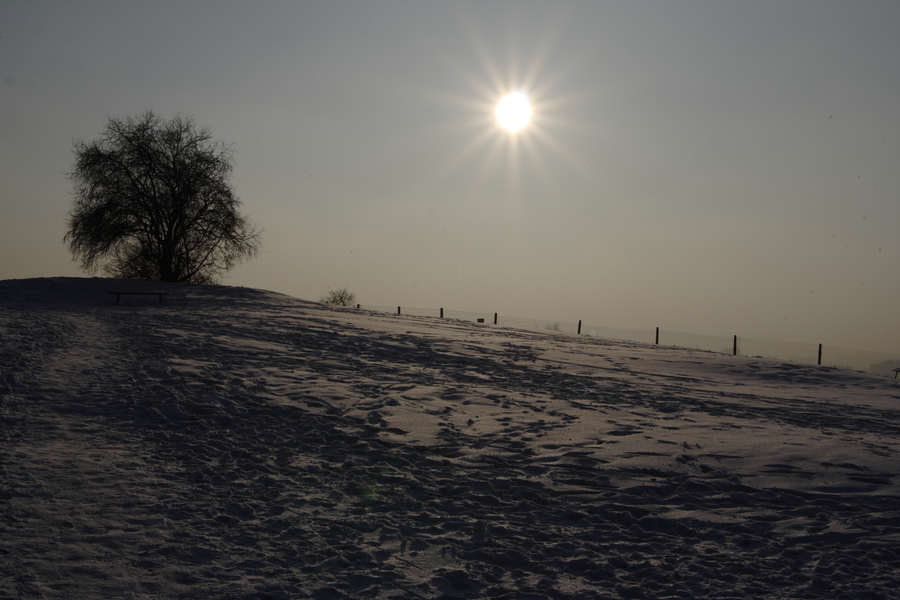 spis.php?category_id=424